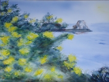 Mimosas sur Cancale 51 x 36 cm